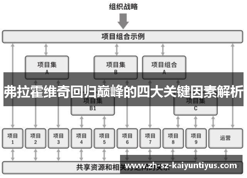 弗拉霍维奇回归巅峰的四大关键因素解析