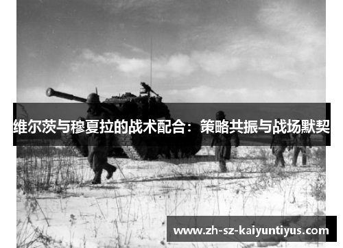 维尔茨与穆夏拉的战术配合:策略共振与战场默契 维尔茨与穆夏拉的战术配合:策略共振与战场默契